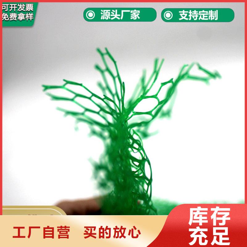 三维植被网土工布国标检测放心购买