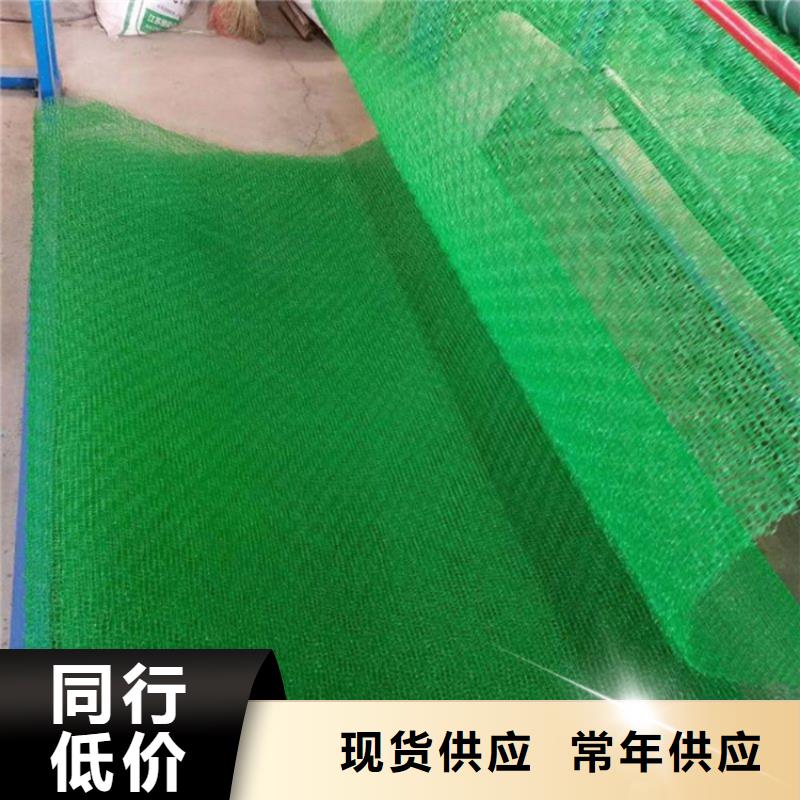 三维土工网垫厂家动态