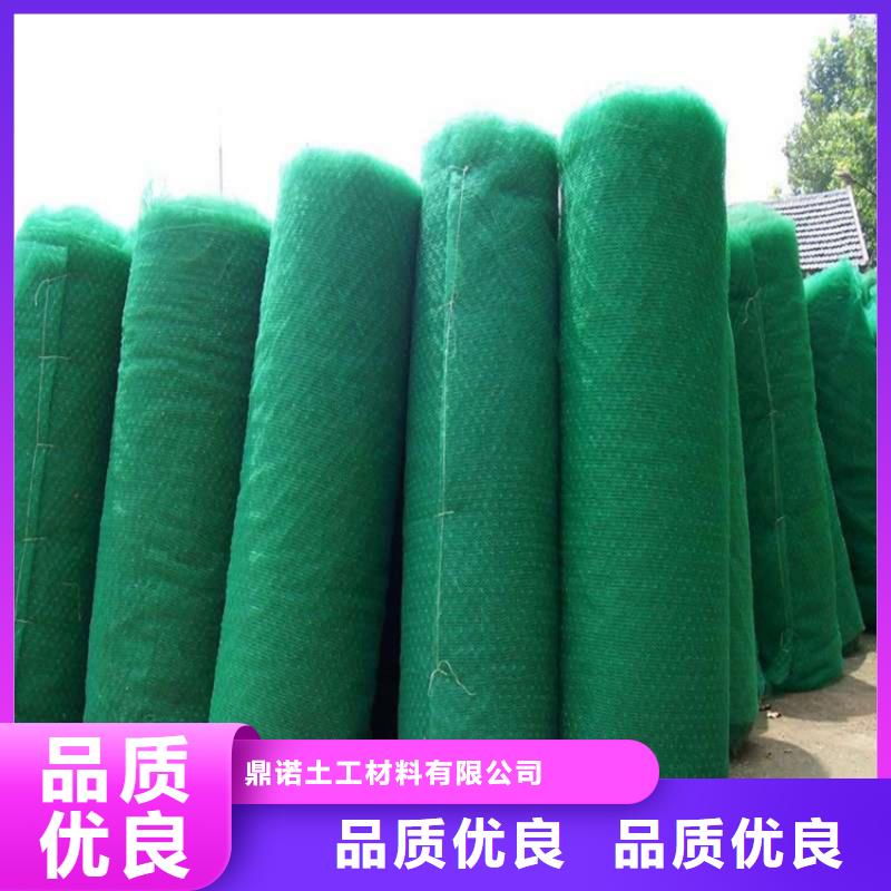 EM3三维植被网垫