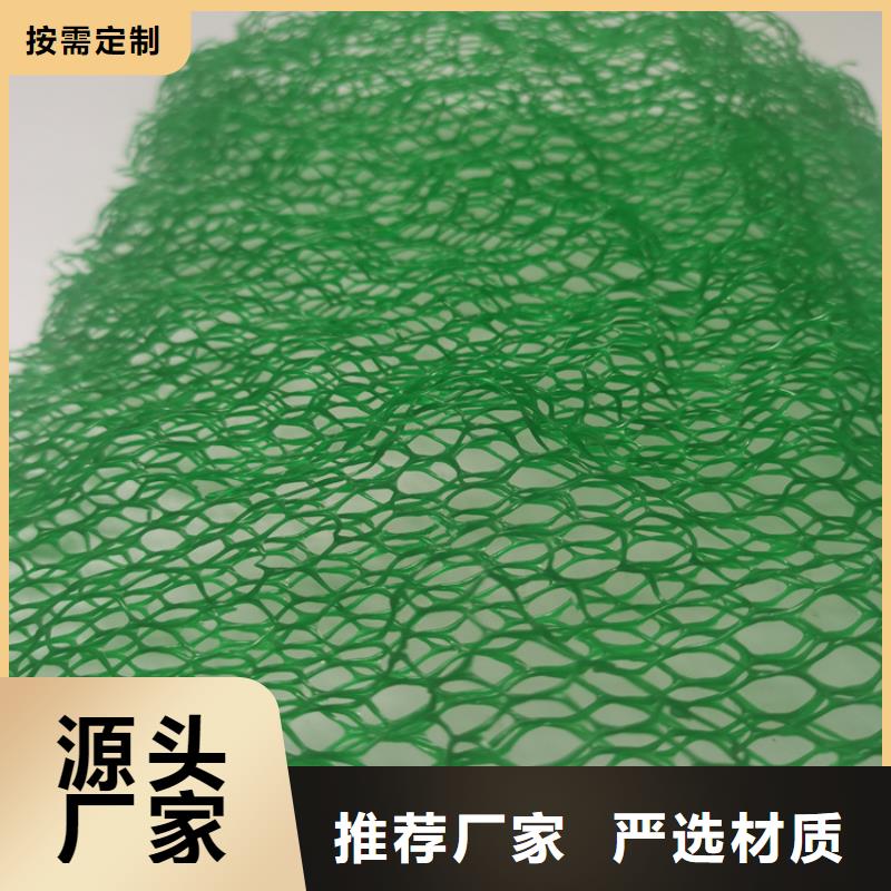 加筋护坡三维植被网