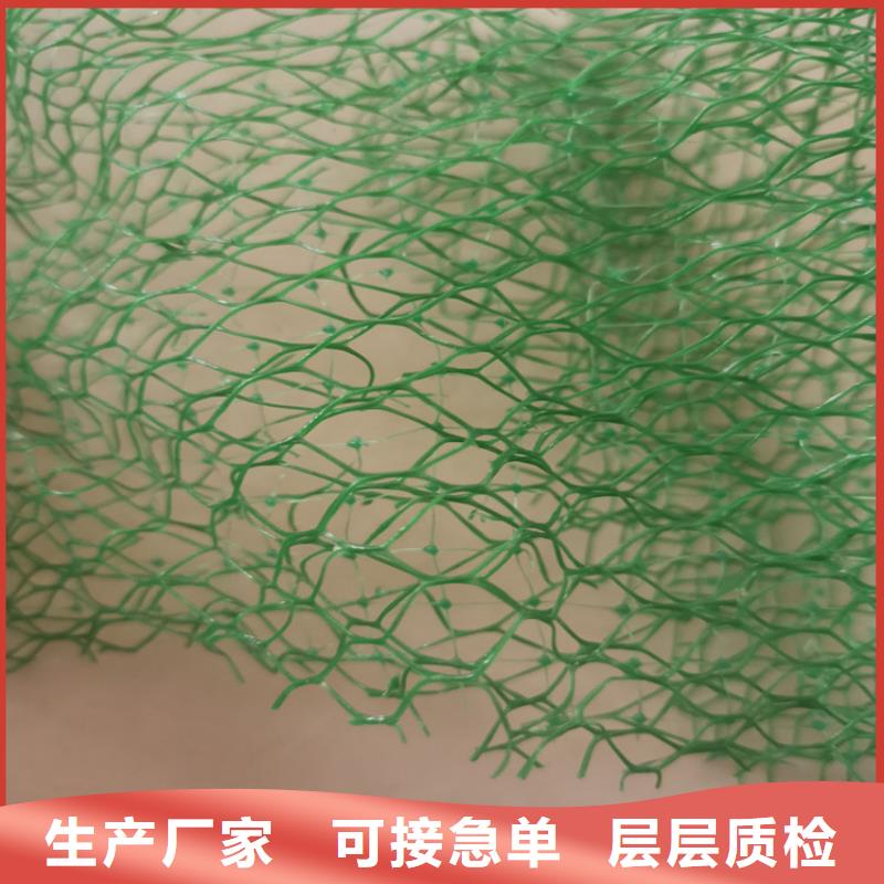 加筋护坡三维植被网