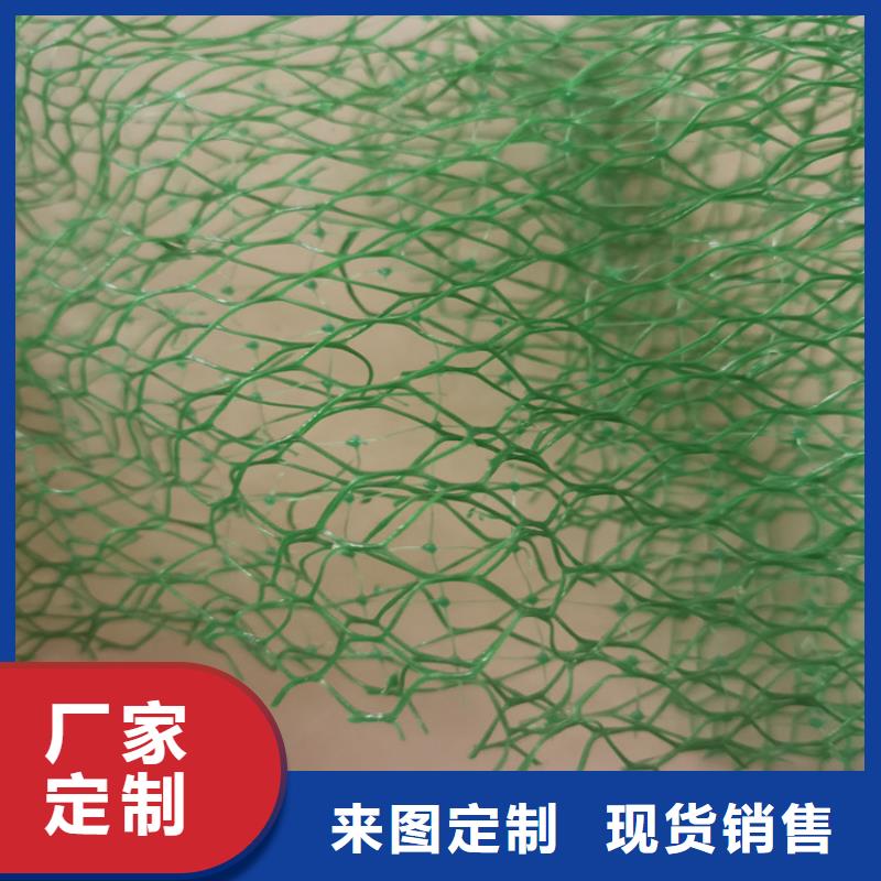 三维植被网批发代理