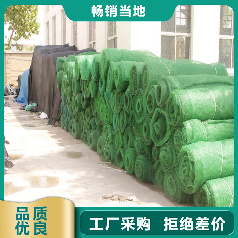 三维植被网-【防草布】厂家货源
