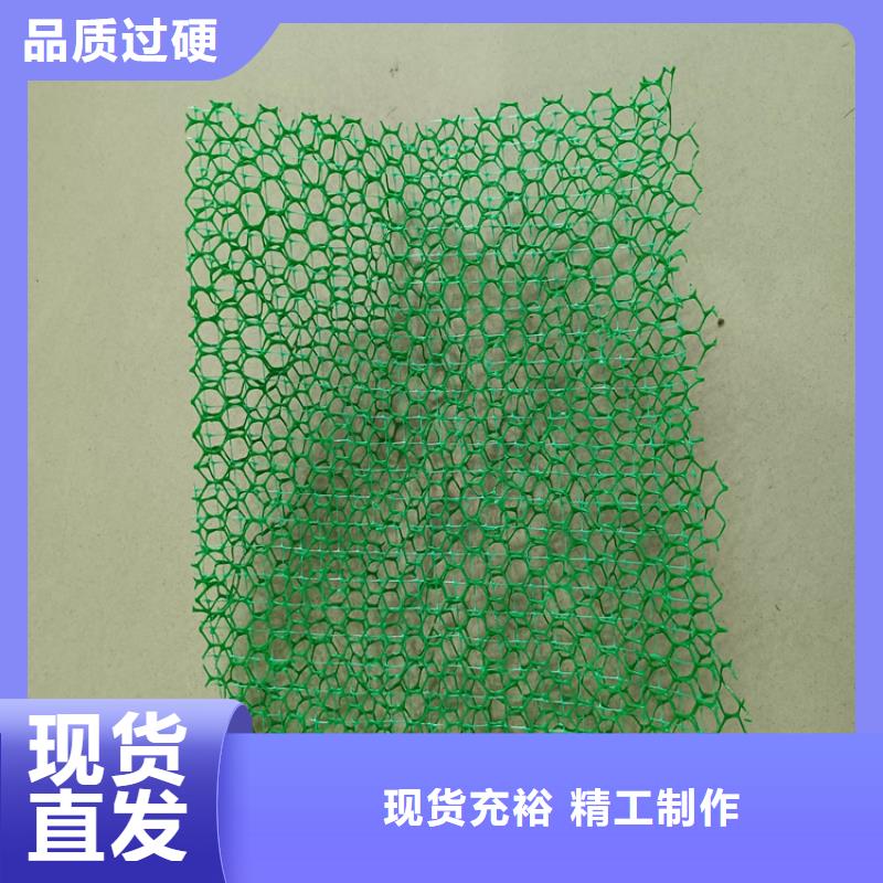加筋护坡三维植被网