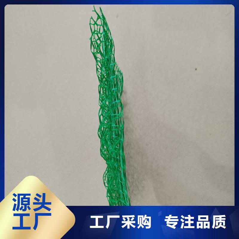 三维植被网-【防草布】厂家货源