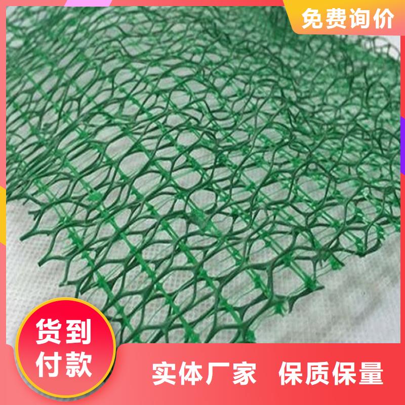 加筋护坡三维植被网