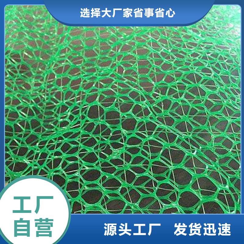 EM3三维植被网垫