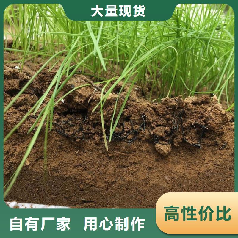 水土保护毯三维柔性抗冲刷