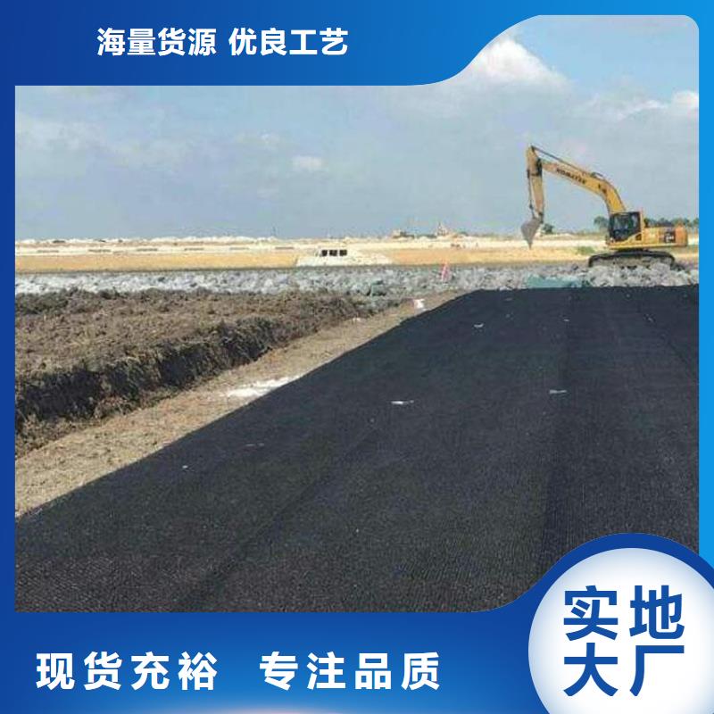 聚酰胺水土保护毯现货当日发