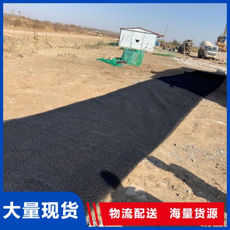 水土保护毯土工布大厂生产品质