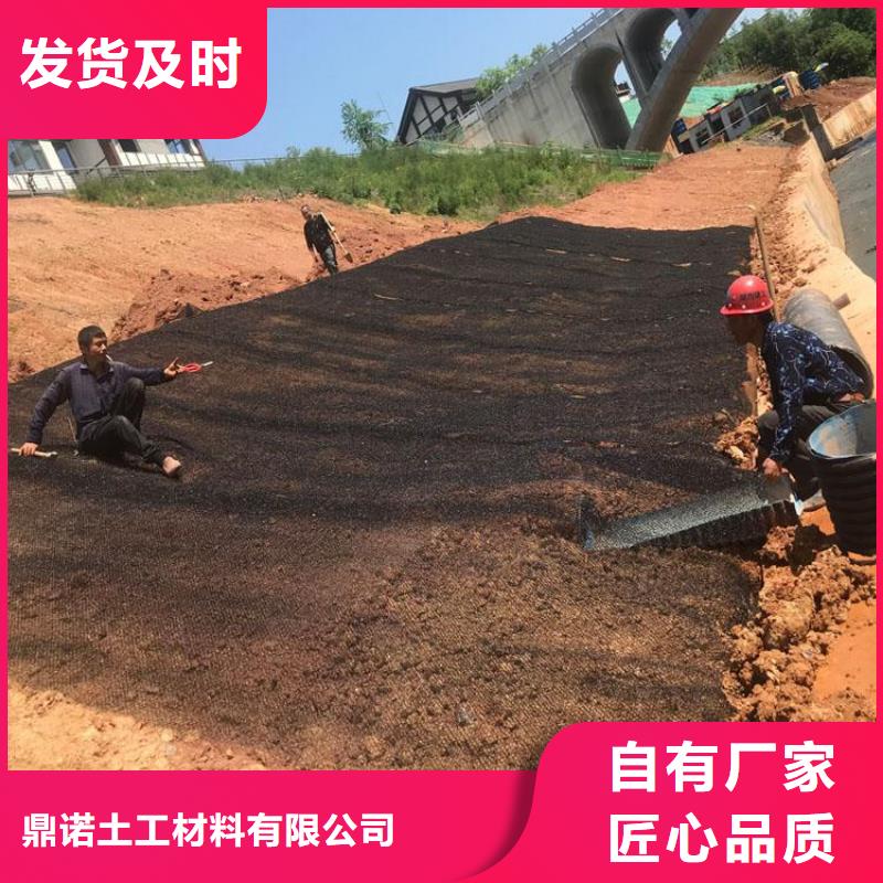 三维防侵蚀7220三维水土保护毯