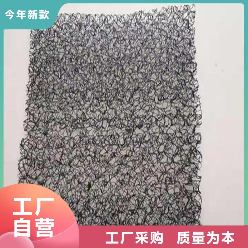 水土保护毯土工布大厂生产品质