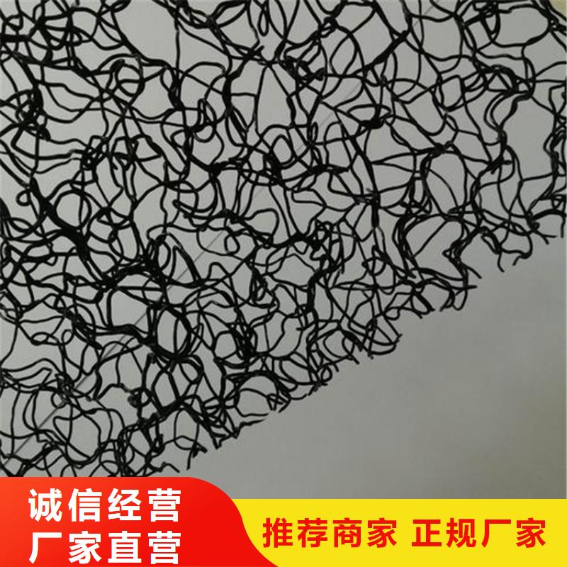 聚酰胺水土保护毯现货当日发