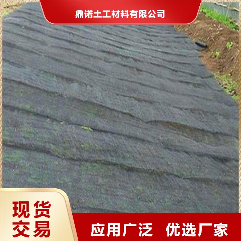 聚酰胺水土保护毯现货当日发