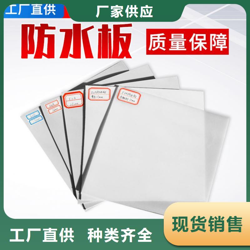 防水板,防渗膜品质卓越