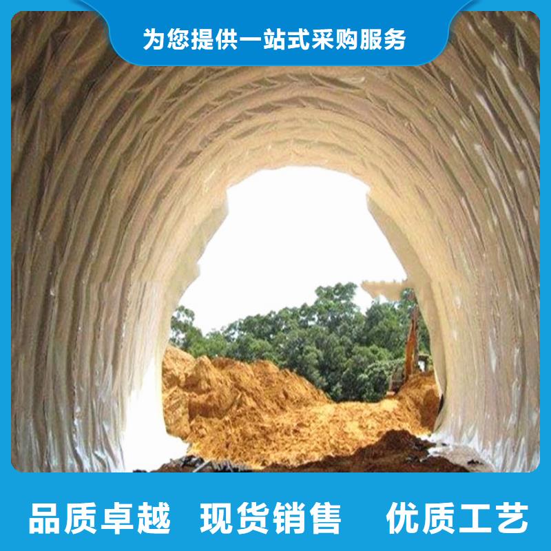 EVA防水板代理厂家销售