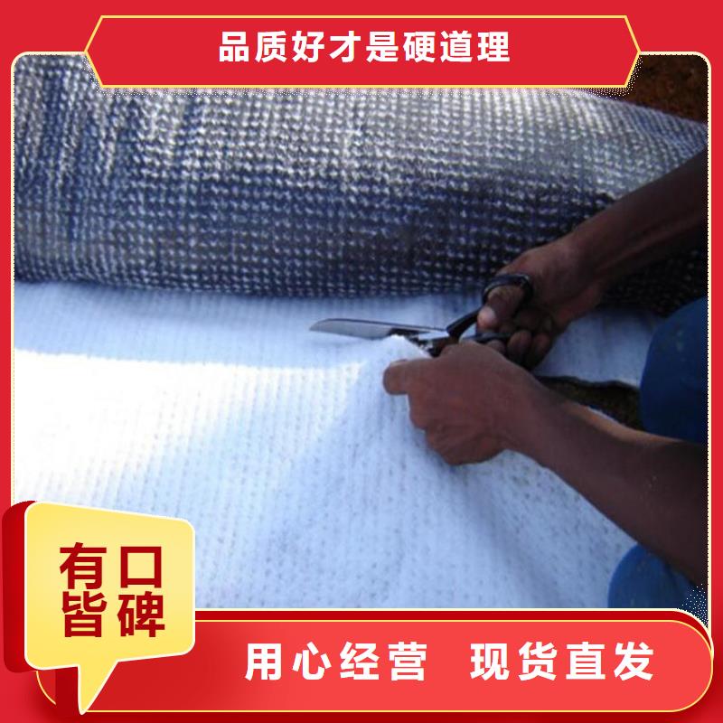4800g膨润土防水毯