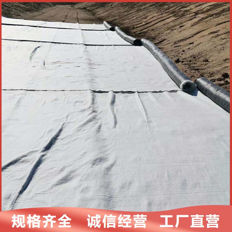 钠基膨润土防水毯