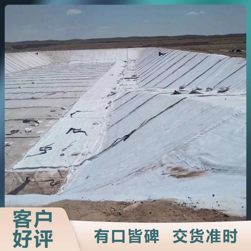钠基膨润土防水毯
