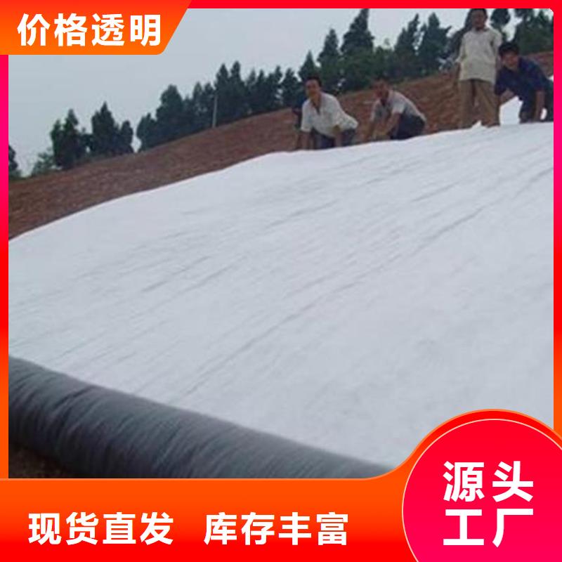 GCL膨润土垫