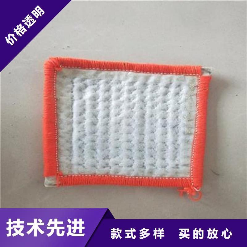 钠基膨润土防水毯
