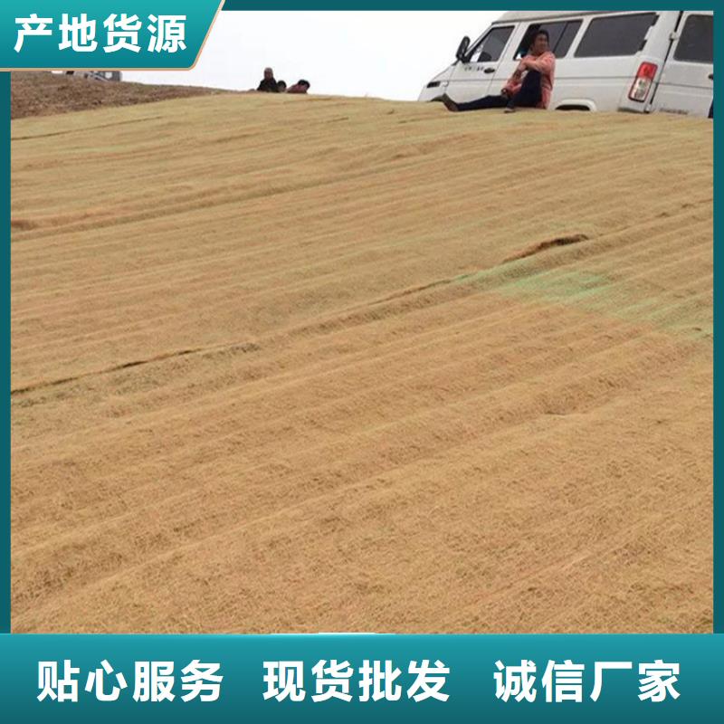 护坡植被植草毯性能测试