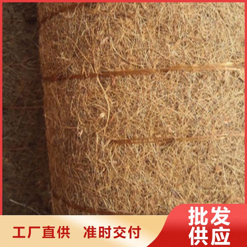 海南五指山市植生椰垫