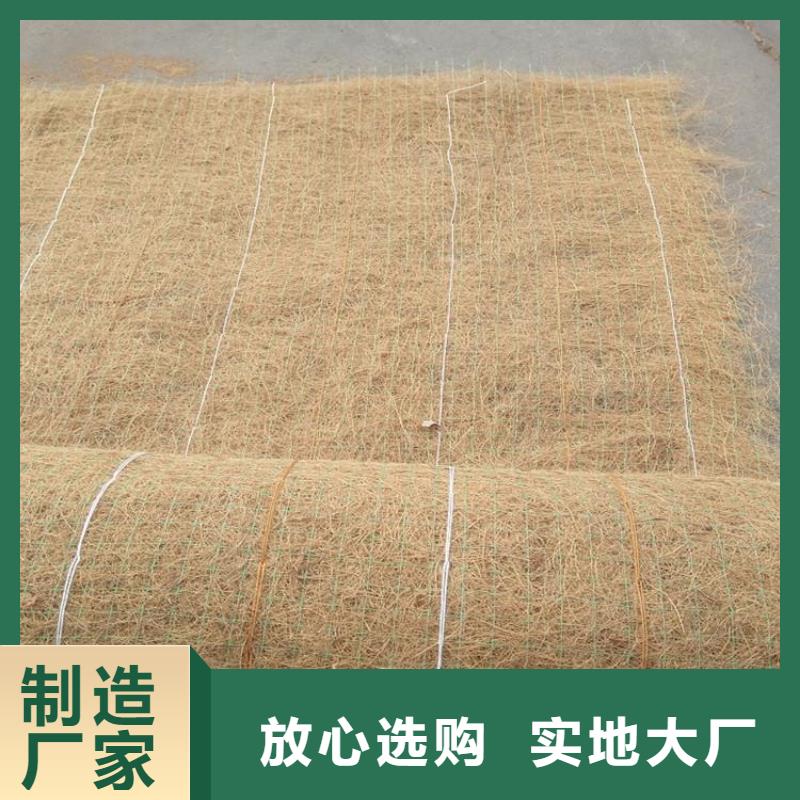 加筋抗冲生态毯纤维草毯