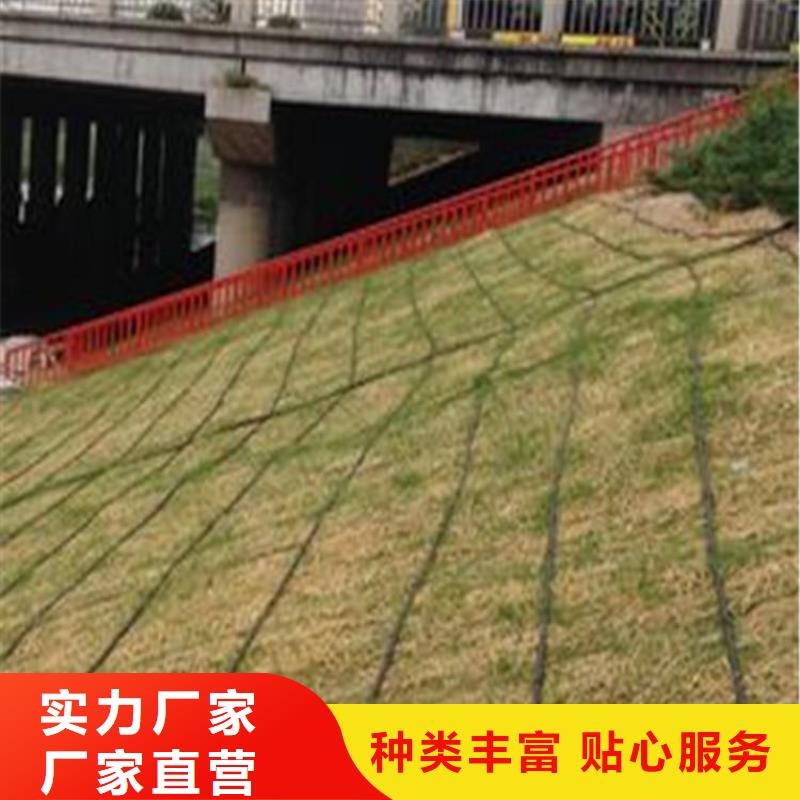 植物纤维毯