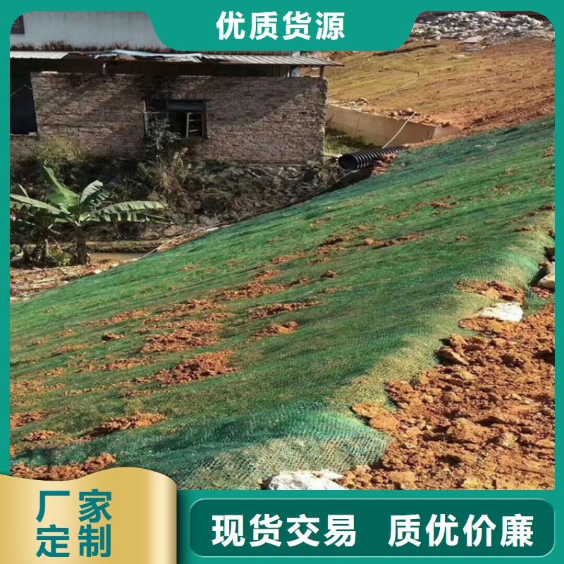 椰丝纤维毯