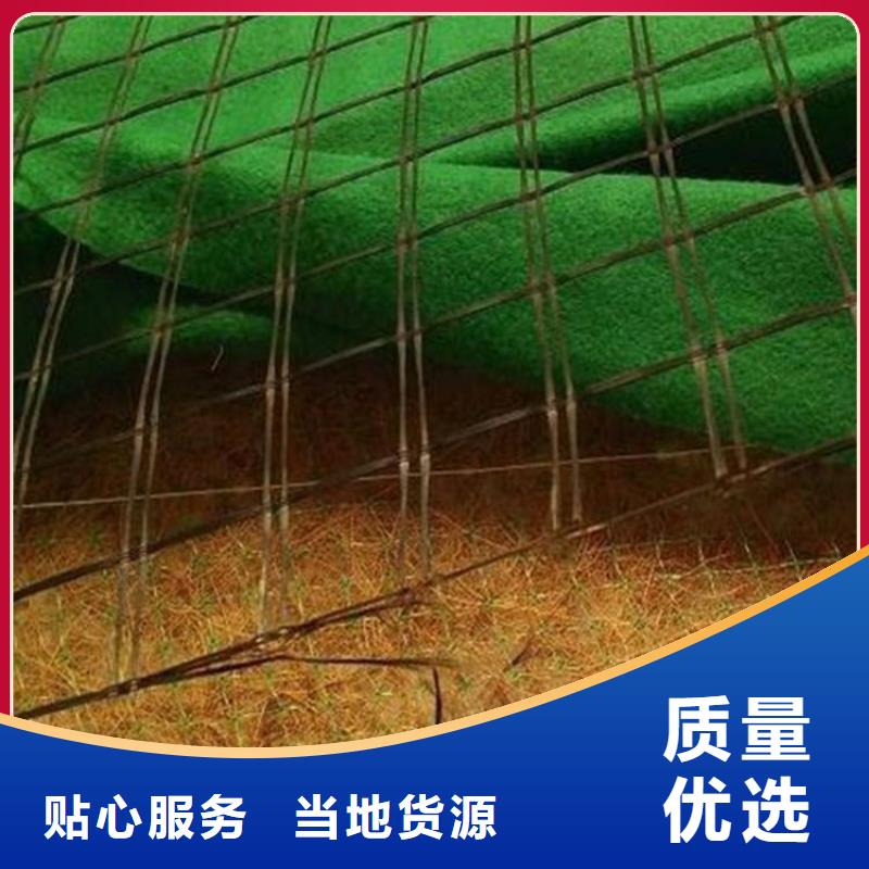 椰丝纤维毯植草绿化毯
