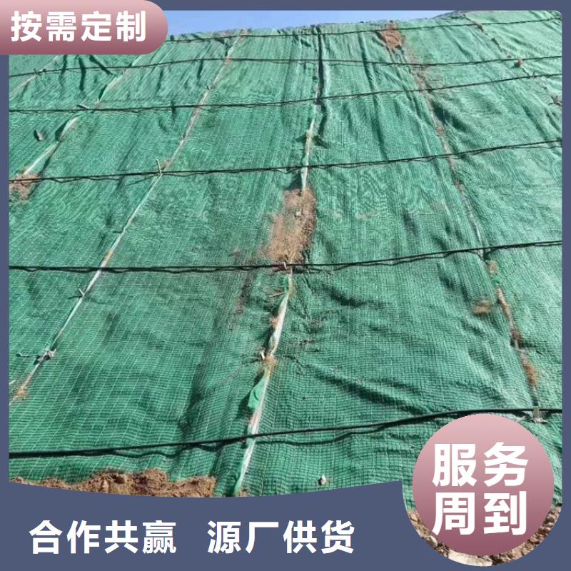 椰丝毯防渗膜规格型号全