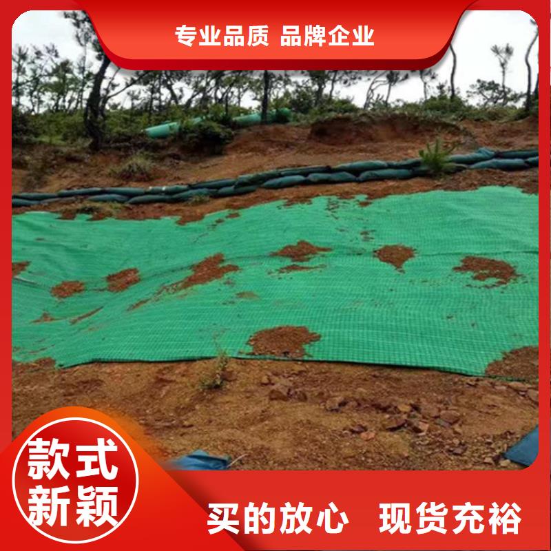 植物纤维毯