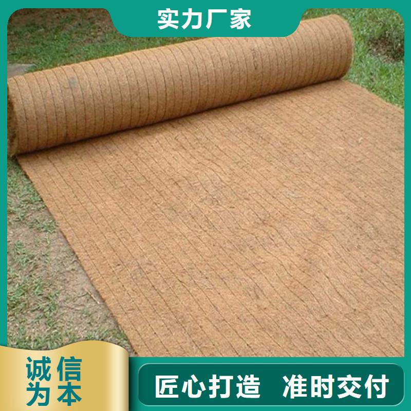 加筋抗冲生态毯纤维草毯