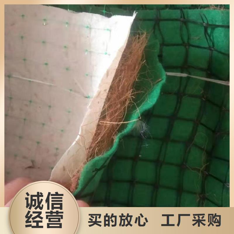 椰丝植生毯护坡植物纤维毯