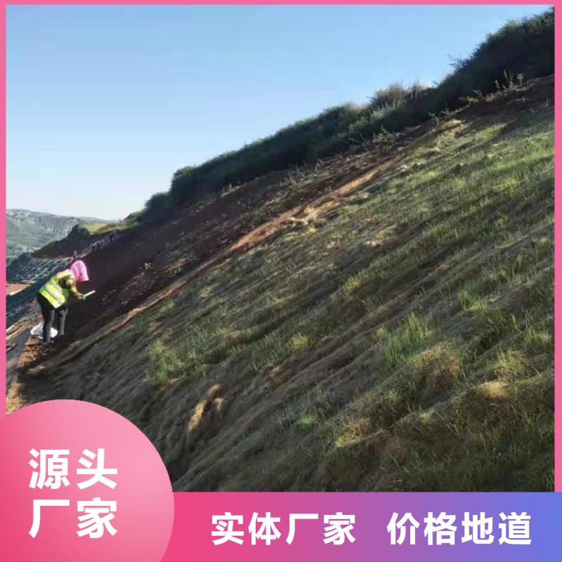 椰丝毯,土工膜工厂自营