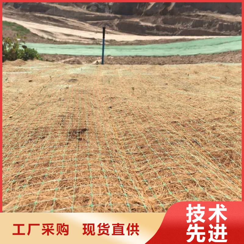 椰丝纤维毯