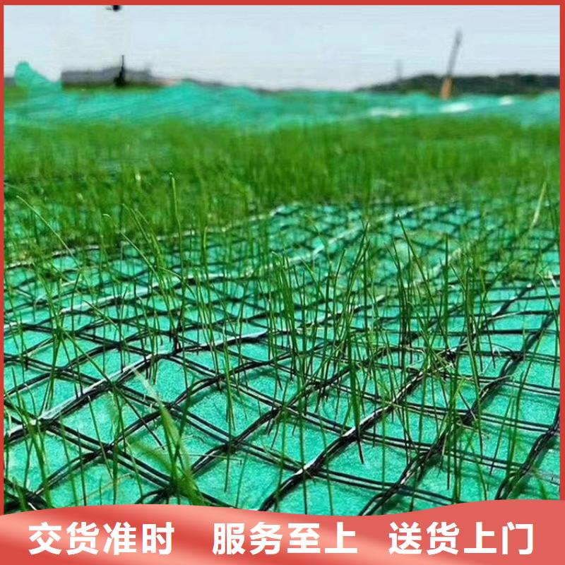 植物纤维毯