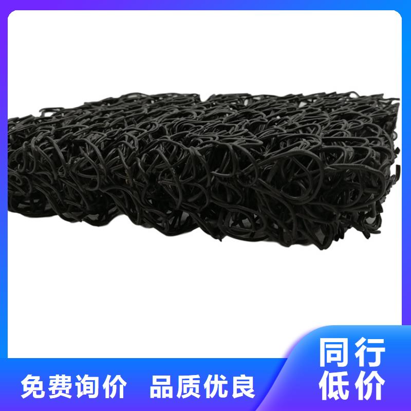 4050高渗排水网垫