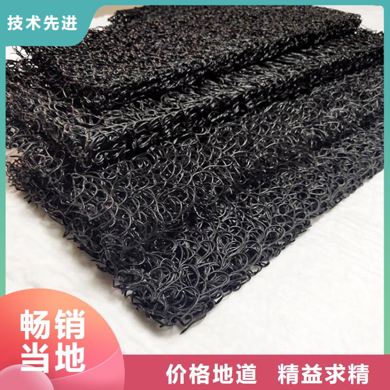 RCP渗排水网垫