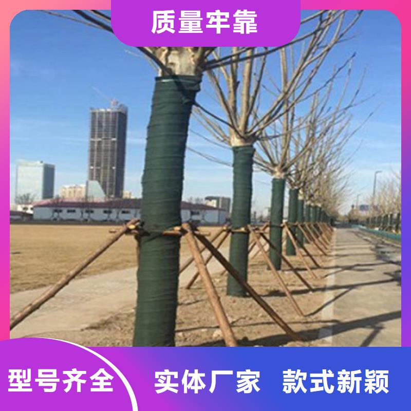 裹树布-土工膜支持非标定制