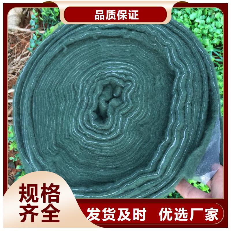 裹树布