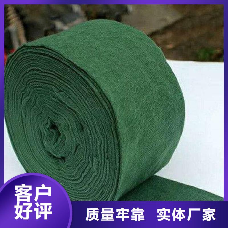 裹树布-土工膜支持非标定制