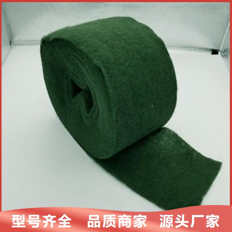 裹树带