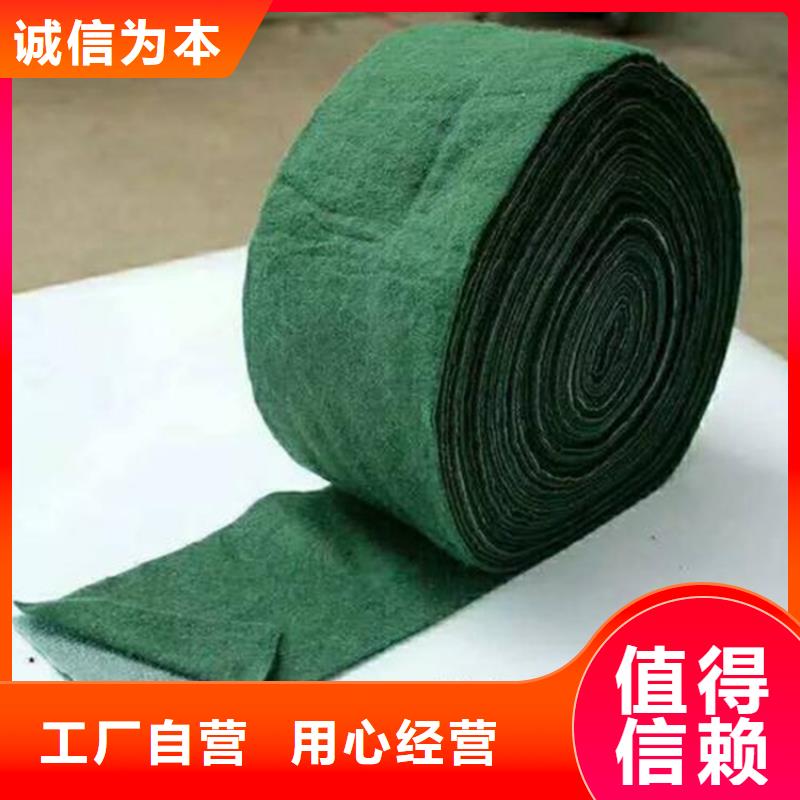 【裹树布】-HDPE土工膜厂家直销规格多样