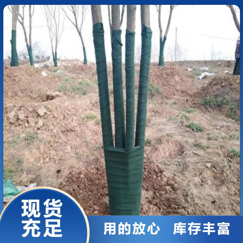 裹树布