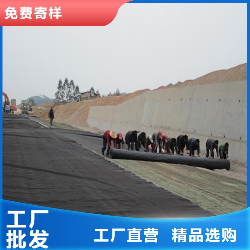 防渗土工膜公司