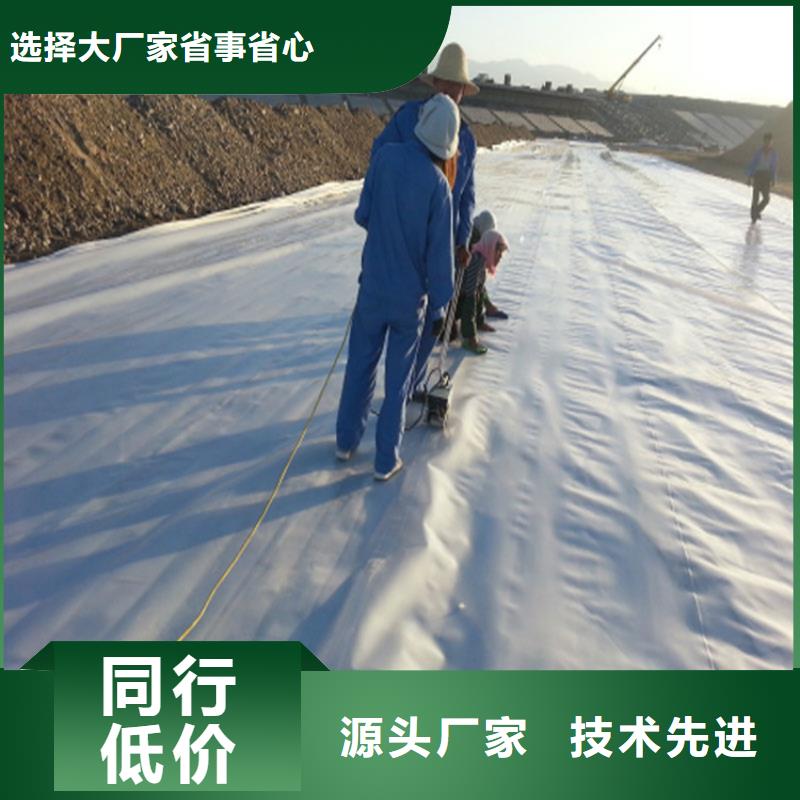 2.5mm土工膜