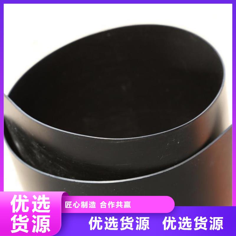 防渗土工膜公司