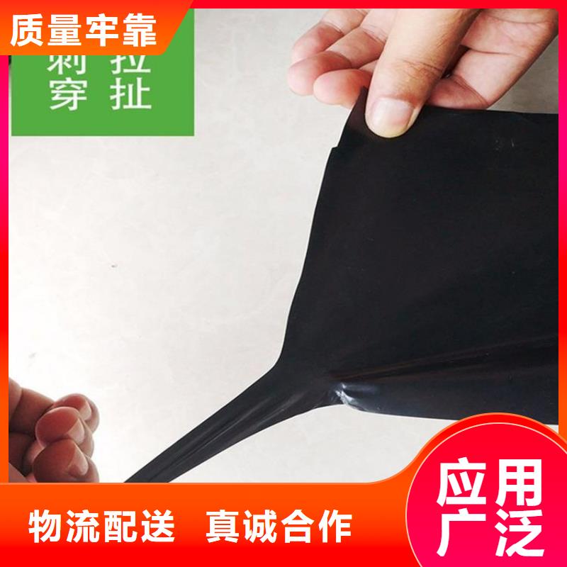 土工膜-短纤无纺土工布质量不佳尽管来找我